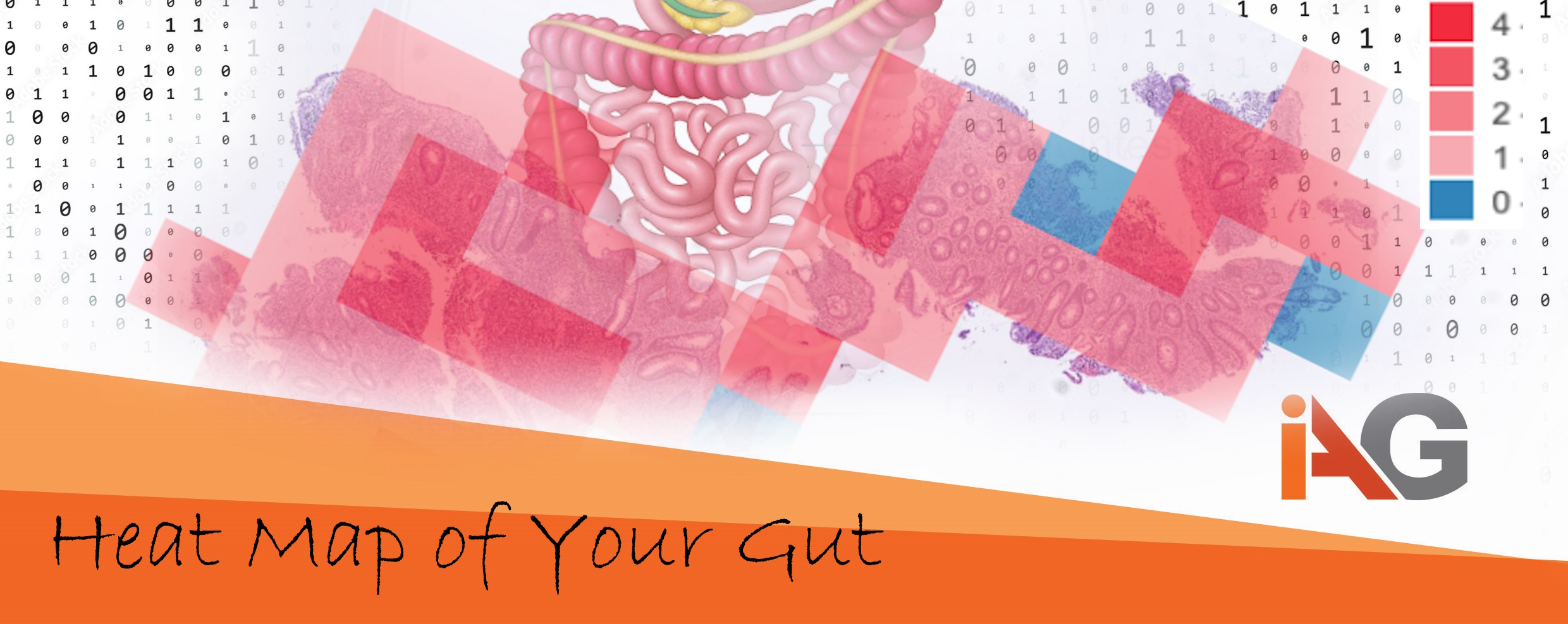 UEG-IAG-HeatMap